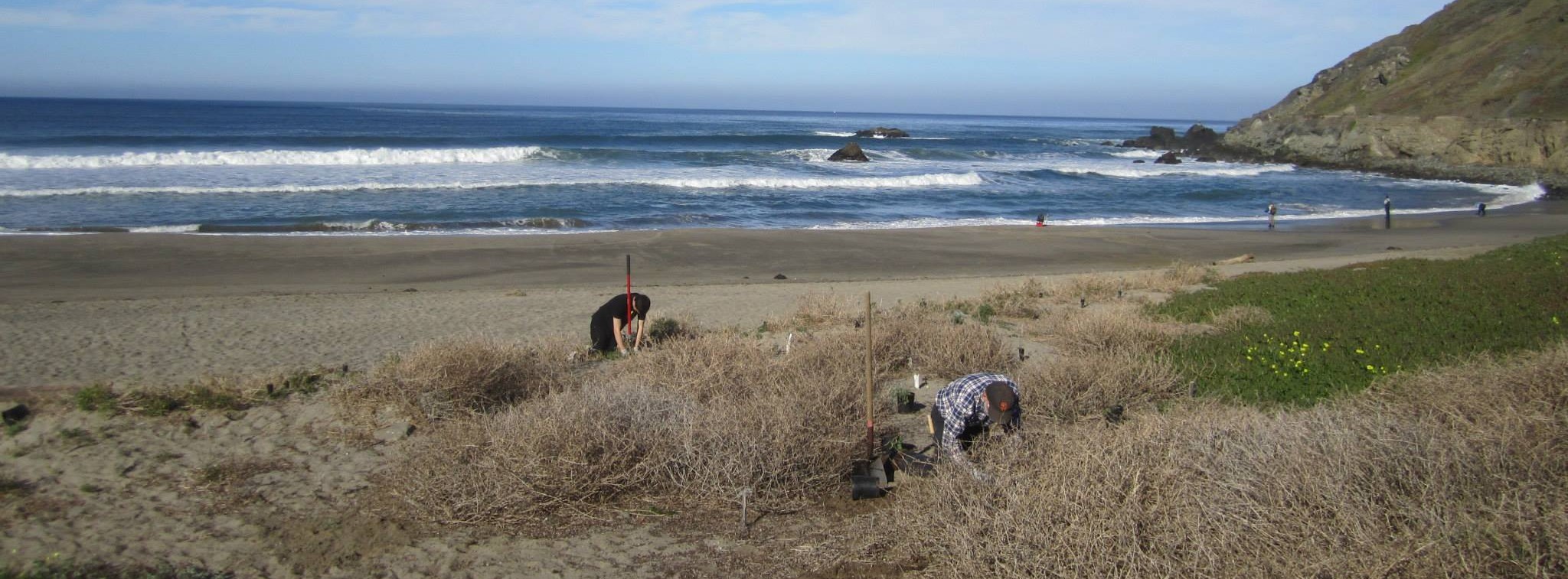 linda mar cleanup