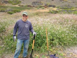 michael habitat restoration