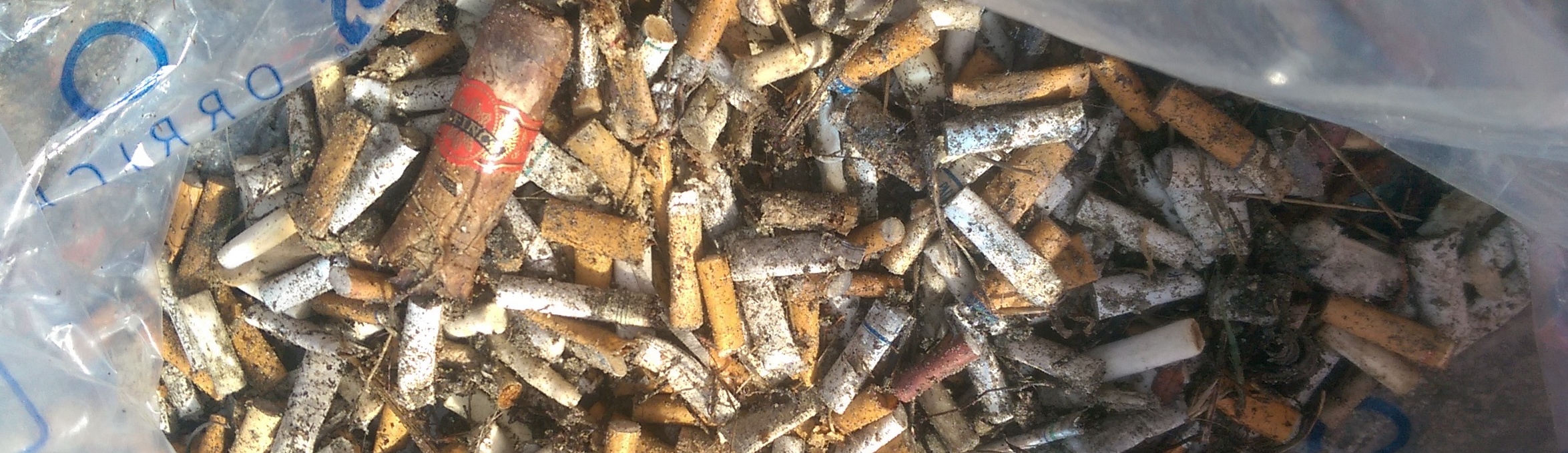 cigarette butts 