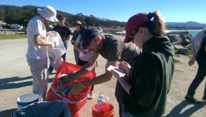 pillar point cleanup2