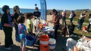 pillar point cleanup4