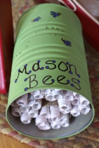 mason bee house