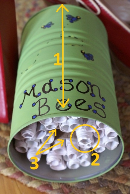 The Rubbish Whisperer - Want to make your own bee hotel for the garden?  Grab some crafting paper straws and a tin - easy! There are native bees in  ours already and