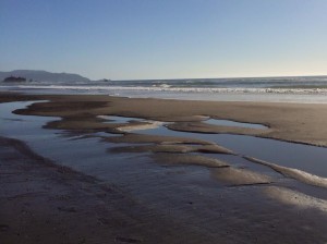 mussel rock low tide