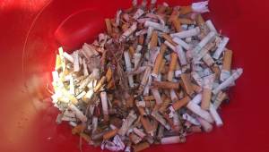 930 cigarette butts