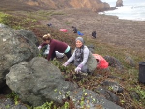 rockaway switchbacks habitat restoration