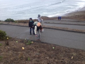 rockaway switchbacks habitat restoration2