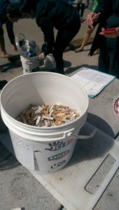 2000 cigarette butts pillar point