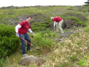 B of A habitat restoration 2