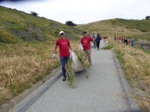 B of A habitat restoration 3