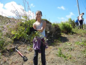 Girl Scout Troop east bay habitat restoration