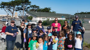 beach cleanup group