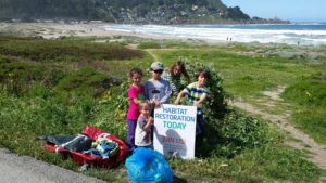 habitat restoration rockaway 2