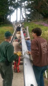 moss beach mast sailing boat