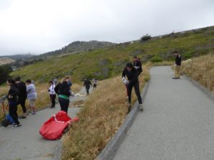 team indeed habitat restoration 2