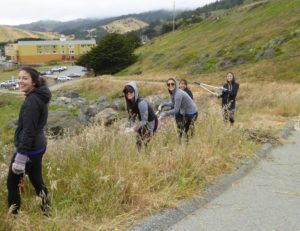 team indeed habitat restoration