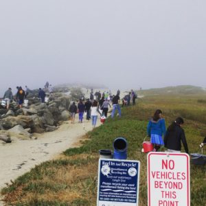 pillar point beach cleanup