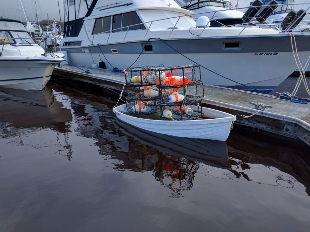 Red Tide at Pillar Point Harbor - Sunday, October 30th.