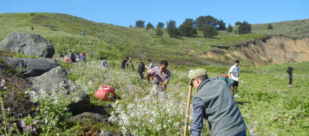 switchbacks habitat restoration