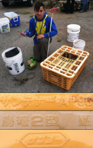 tsunami_debris_fish_crate