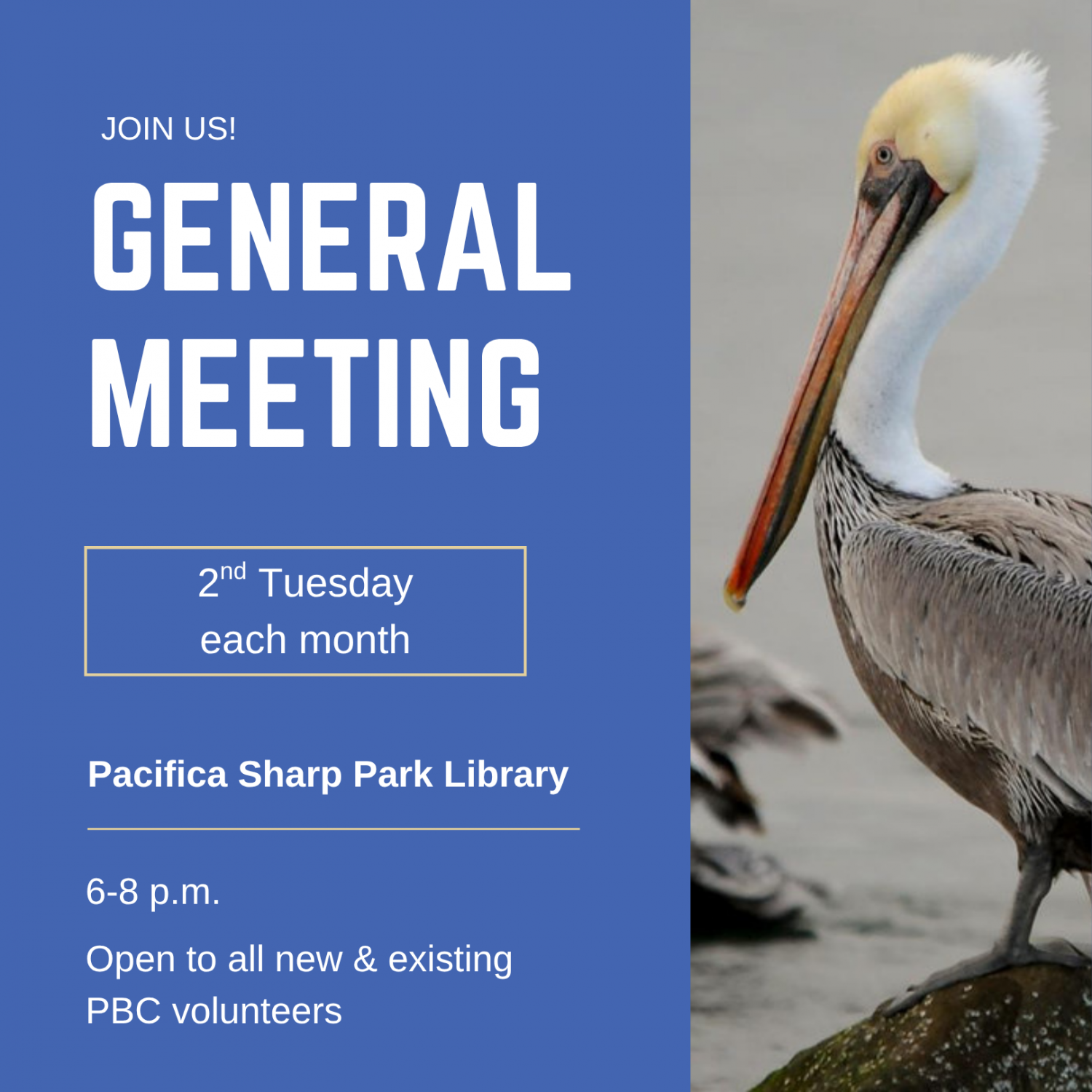 Join us for our general meeting on the second Tuesday of each month