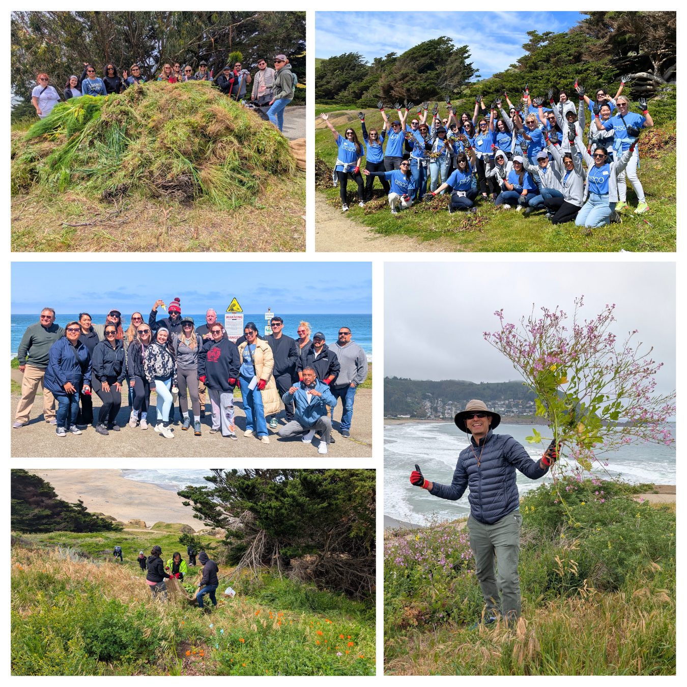 A collage of corporate volunteers at the beach doing cleanups and habitat restoration