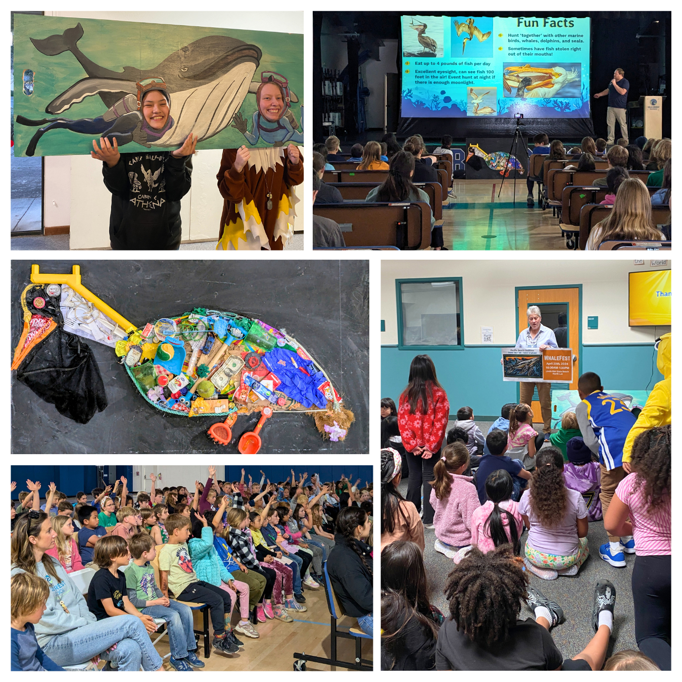 A collage of students learning about whales and pelicans at various school assemblies