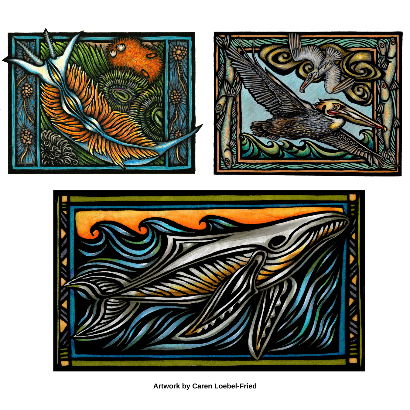 A collage of Caren Loebel-Fried's artwork of a nudibranch, brown pelicans and a humpback whale