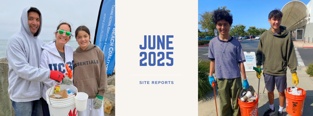 June 2025 site reports