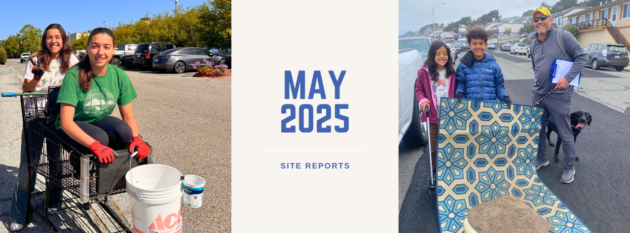 May 2025 site reports header image featuring volunteers