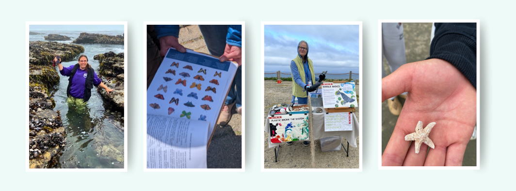 A collage of PBC naturalists out in the field