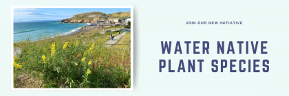Volunteers needed to help water plants