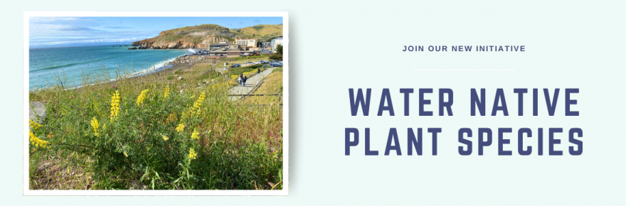 Volunteers needed to help water plants
