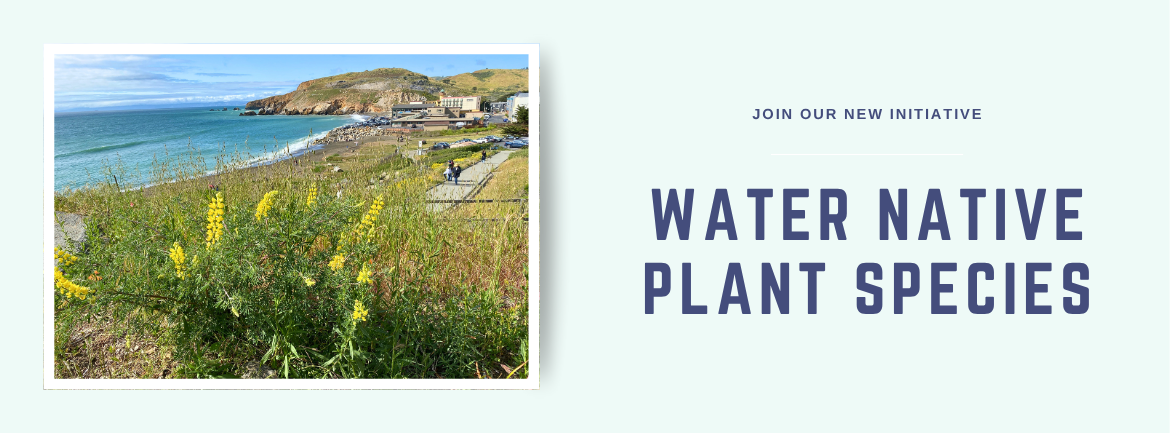 Volunteers needed to help water plants