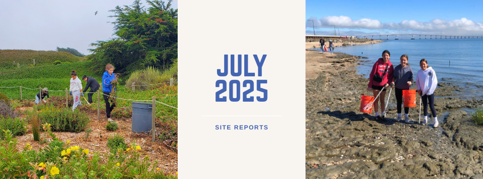 July 2025 site reports