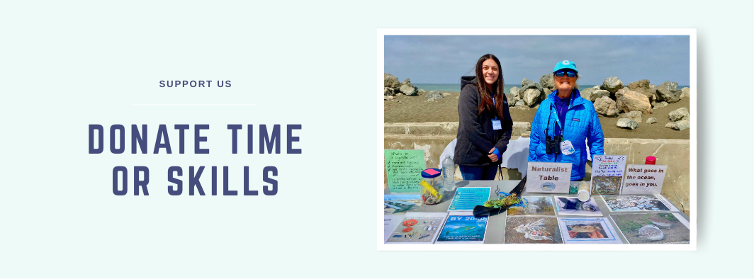 Two volunteer Pacific Beach Coalition naturalists stand at their educational table near the ocean