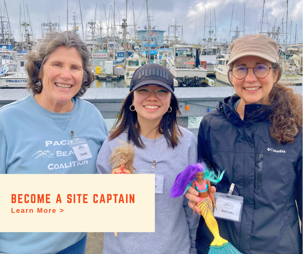 Become a site captain callout
