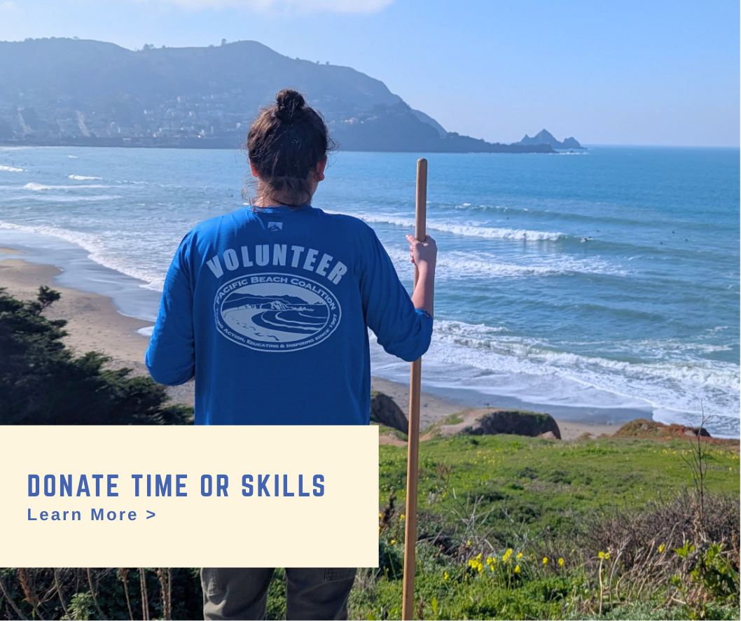 Donate time or skills callout