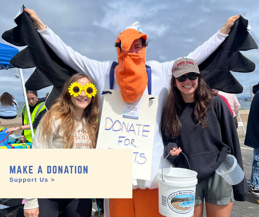 Make a donation callout