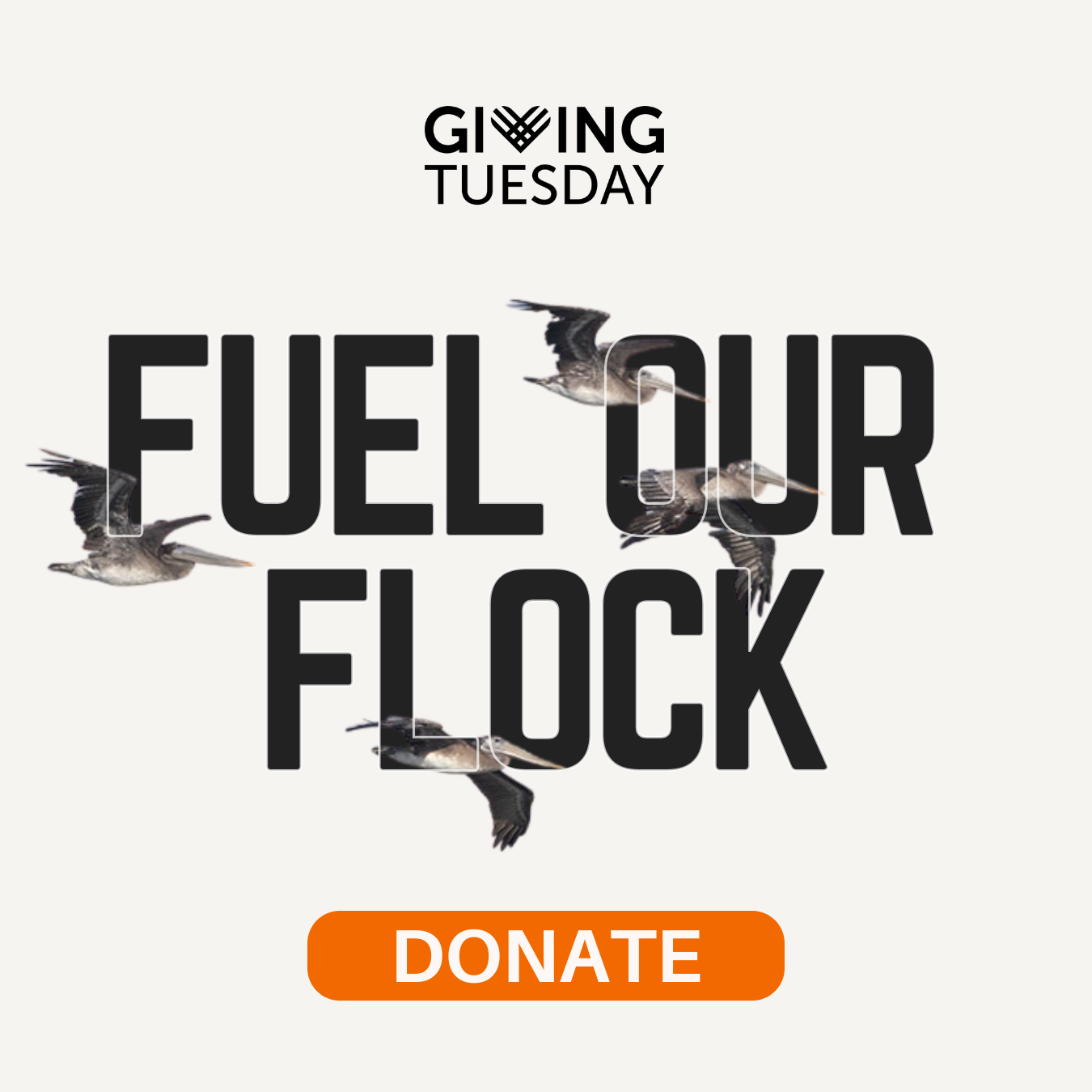 Support PBC This Giving Season