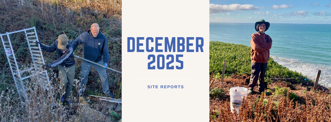December 2025 results and site reports