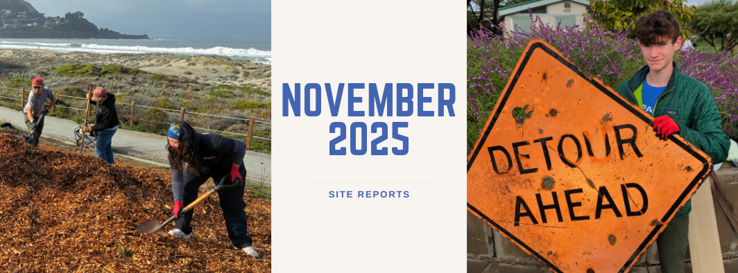 Volunteers shovel mulch on a trail near the ocean and hold a Detour Ahead sign found during a PBC cleanup event