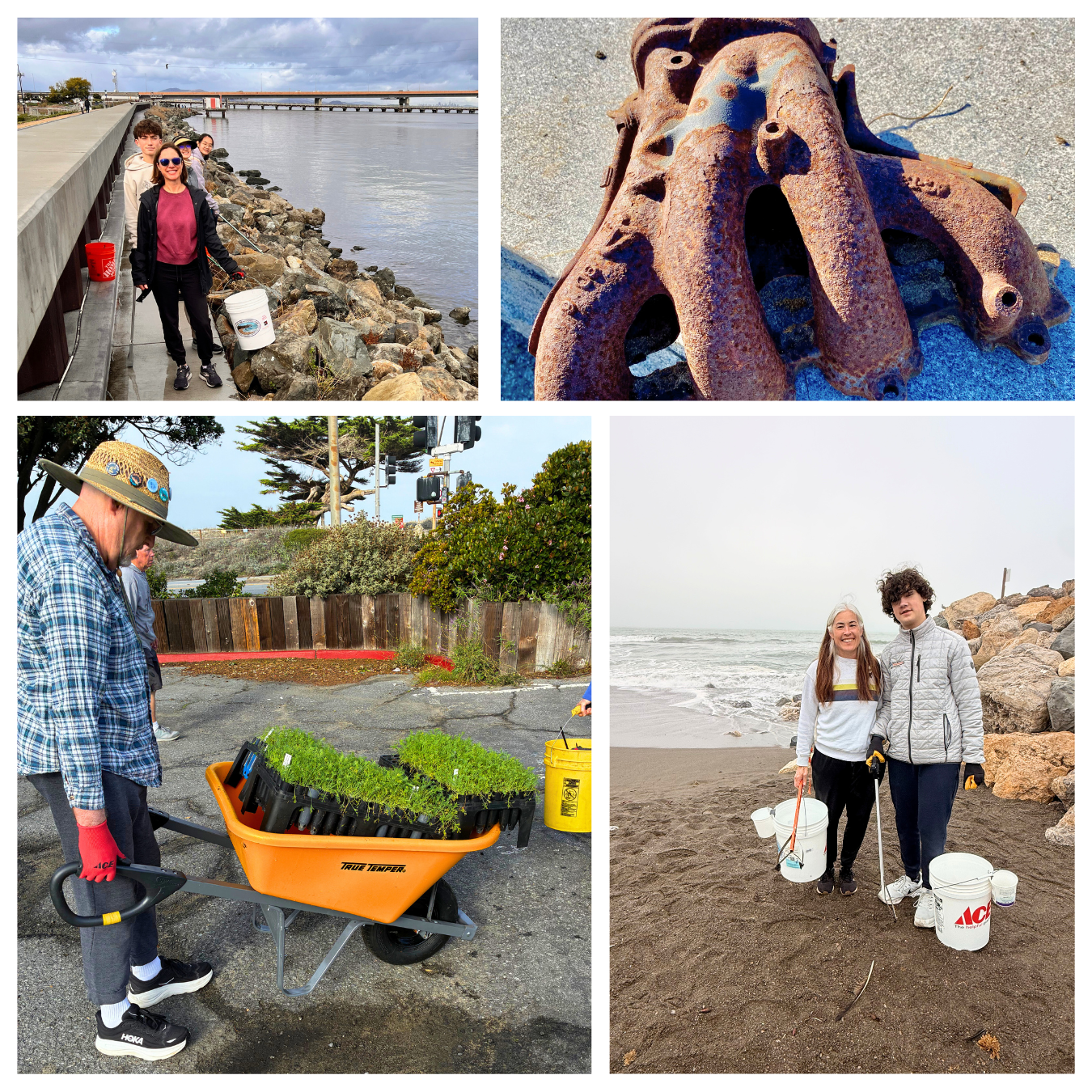 Adult and youth volunteers pick up trash and plant poppies at November PBC events