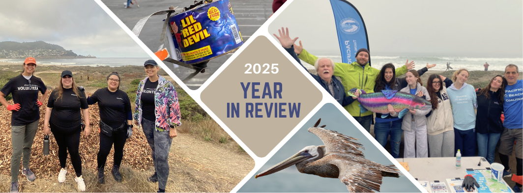 Pacific Beach Coalition 2025 Impact Year in Review collage