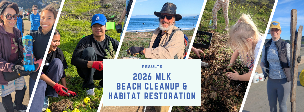 Collage of volunteers at the PBC MLK cleanup & habitat restoration event at Linda Mar Beach