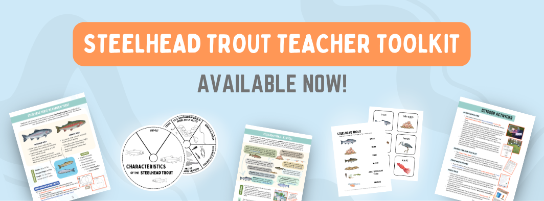 2026 steelhead trout teacher toolkit banner