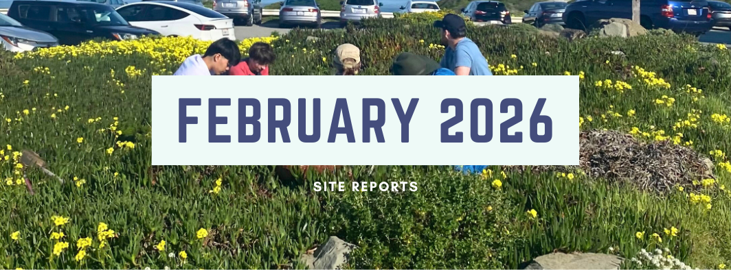 February 2026 Site Reports results from PBC events