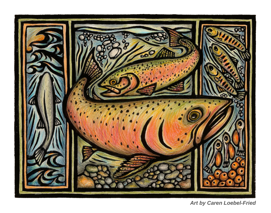 Steelhead trout artwork by Caren Loebel-Fried
