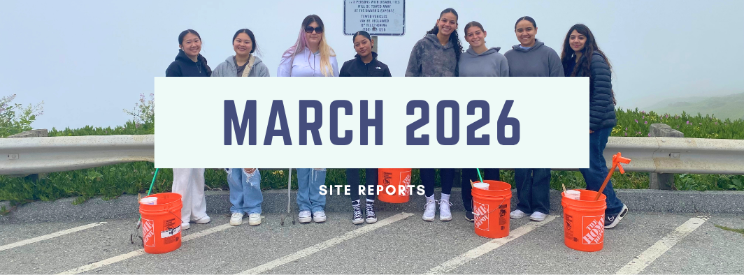 March 2026 site reports; an image of young adult volunteers at a cleanup