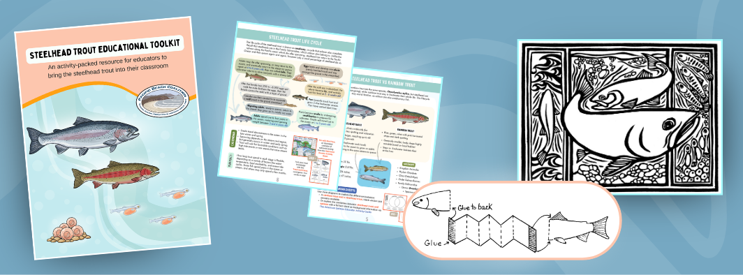 Free 2026 steelhead trout teacher toolkit activities